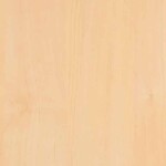 0171 Tundra Birke NA