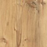 0920 Silberfichte Natur SU