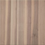 Splintnuss amerikanisch